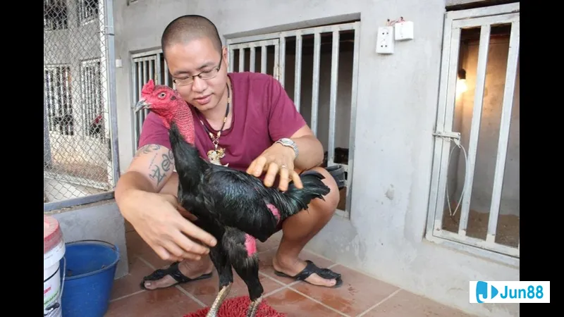 Sự lì đòn và ngoại hình Sự lì đòn và ngoại hình