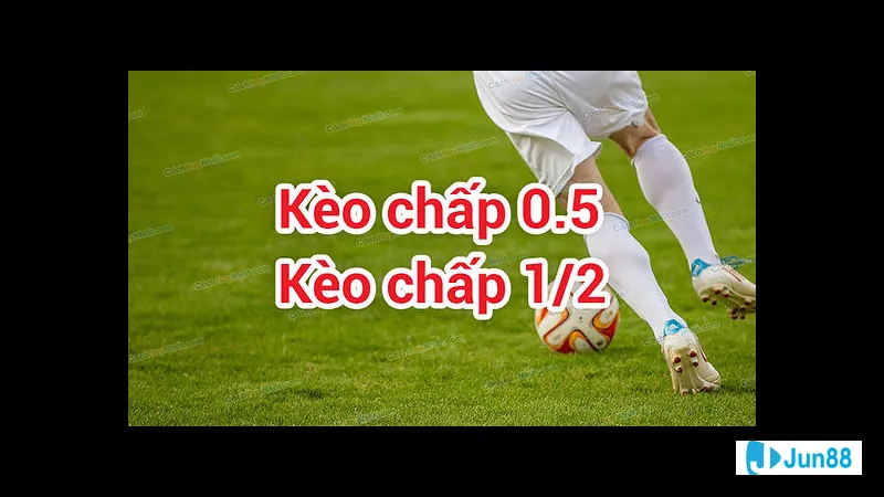 Kèo nửa trái kinh nghiệm đặt cược Kèo nửa trái kinh nghiệm đặt cược